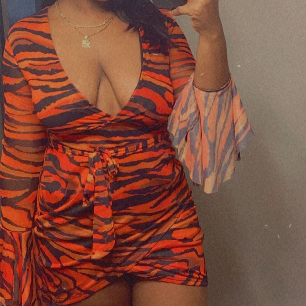 Zebra Print Body Con Dress